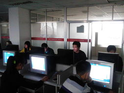 青島職業技術學院軟件與服務外包學院 培養軟件外包服務人才的搖籃