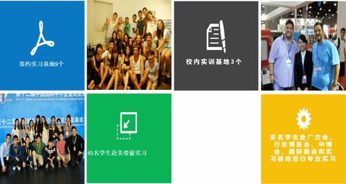 專業(yè)解讀 英語語言文化學(xué)院翻譯專業(yè)的核心價值與翻譯服務(wù)的社會角色